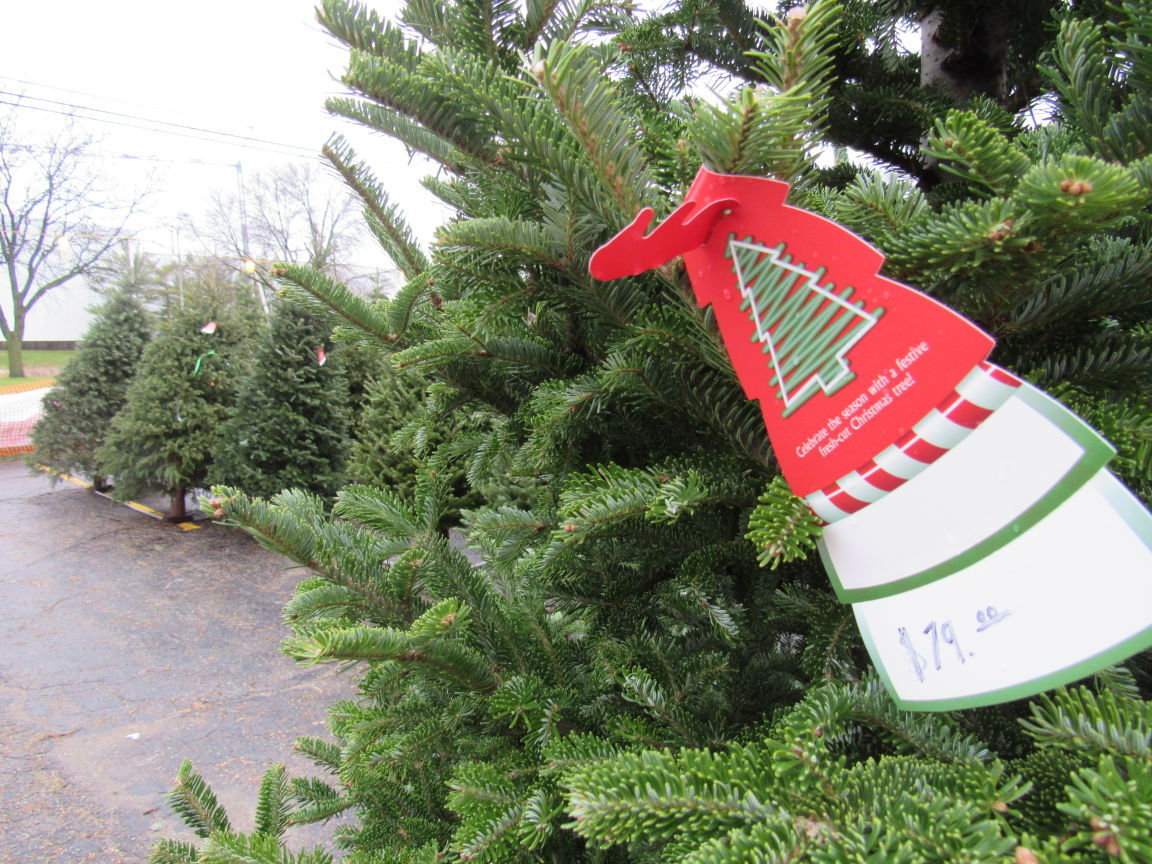On Retail: Christmas tree sales